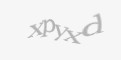 Қорғаныс коды